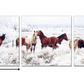 24" Multicolor Canvas 3 Horizontal Panels Horses Photo