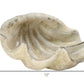 White Sea Shell Sculpture