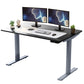 Gray and Black 45" Bamboo Dual Motor Electric Office Adjustable Computer Desk