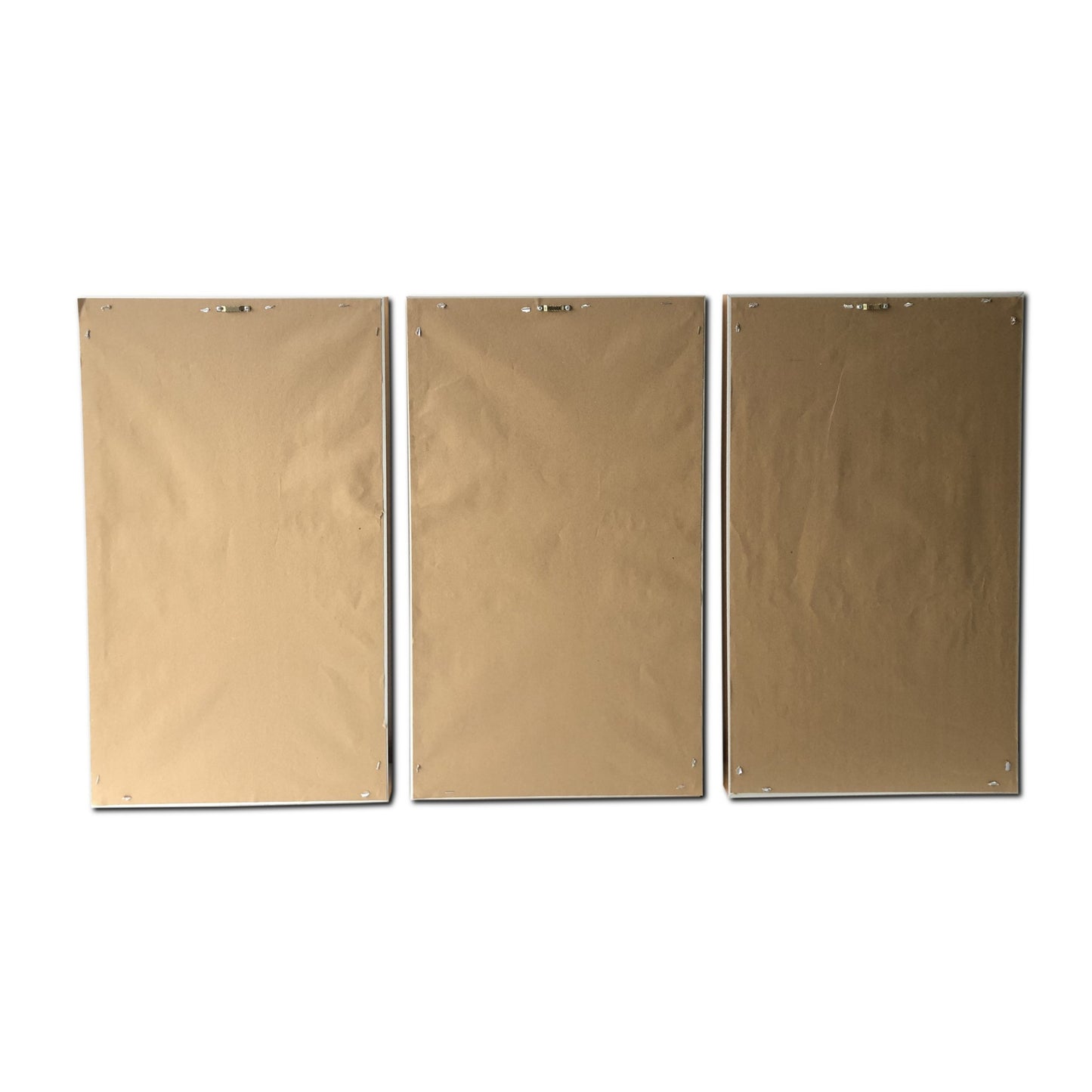 Set of Three Golden Birds Framed Canvas Wall Art