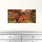 First Colors Of Fall I 1 White Framed Print Wall Art