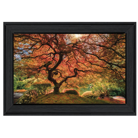 First Colors Of Fall I 2 Black Framed Print Wall Art