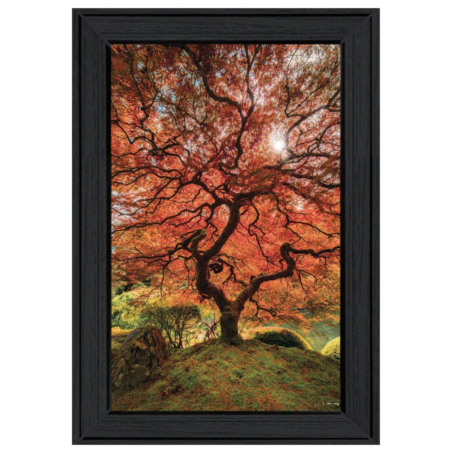 First Colors Of Fall II 2 Black Framed Print Wall Art