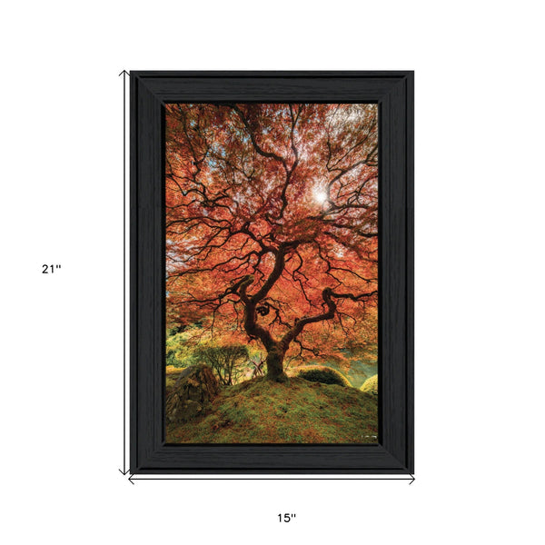 First Colors Of Fall II 2 Black Framed Print Wall Art