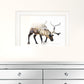 Arctic Reindeer 1 White Framed Print Wall Art