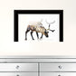 Arctic Reindeer 2 Black Framed Print Wall Art