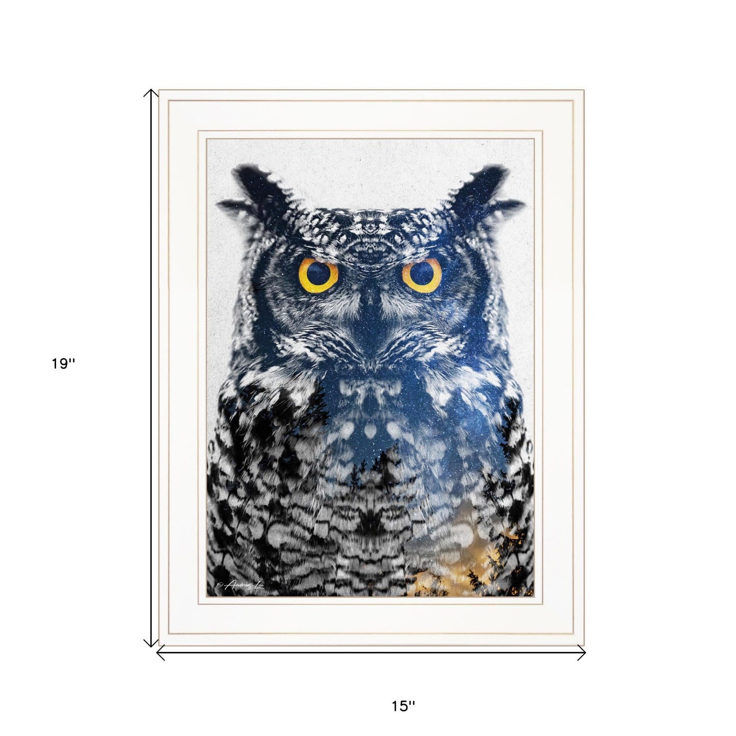 Night Owl 2 White Framed Print Wall Art