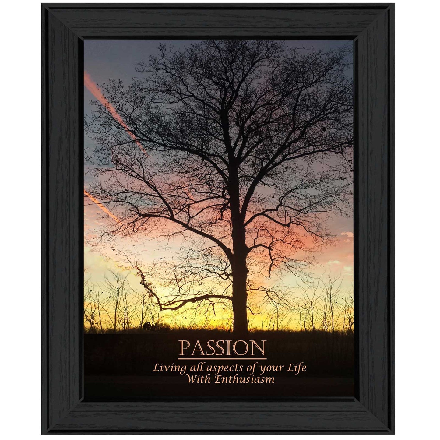 Passion 3 Black Framed Print Wall Art