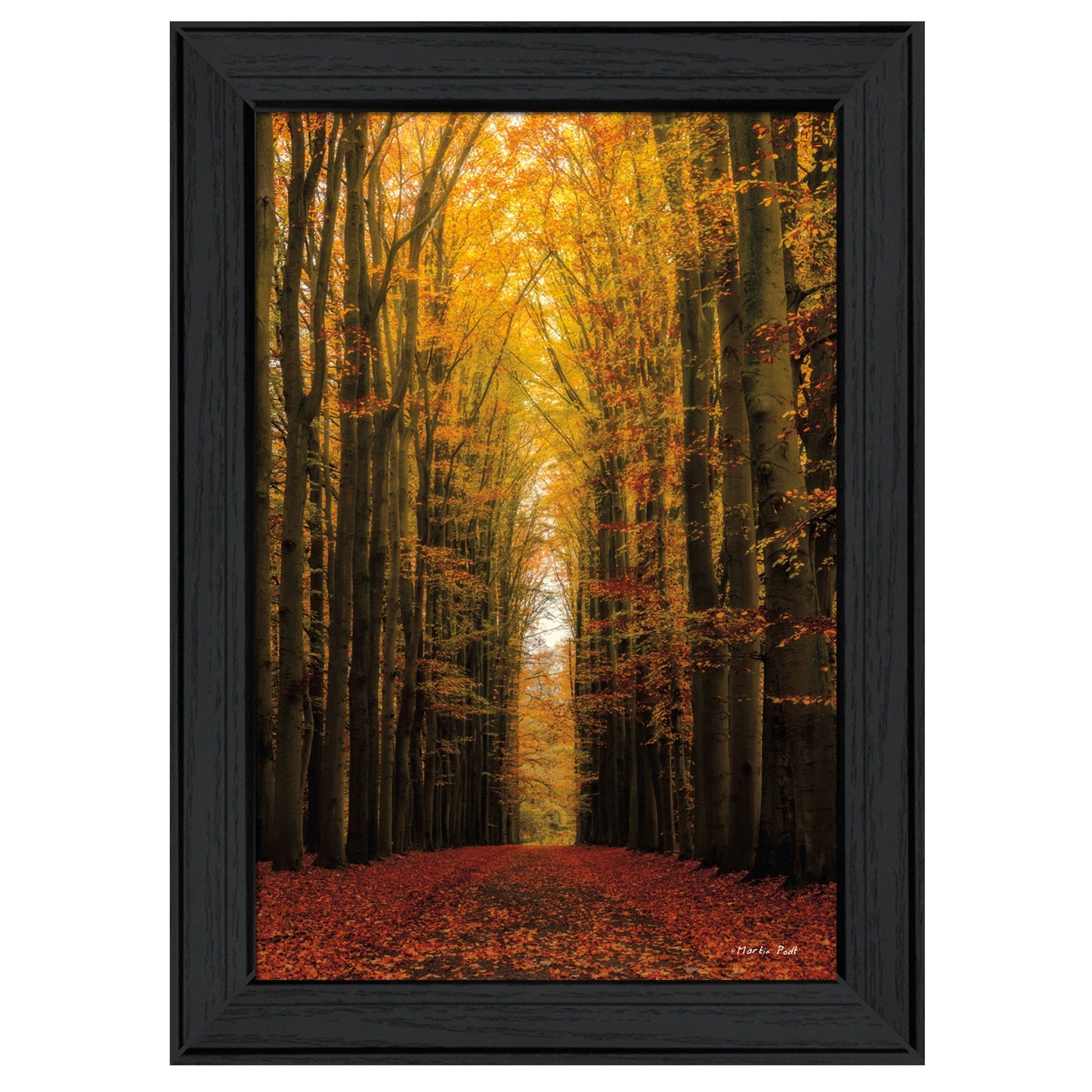 Highway To Heaven Black Framed Print Wall Art