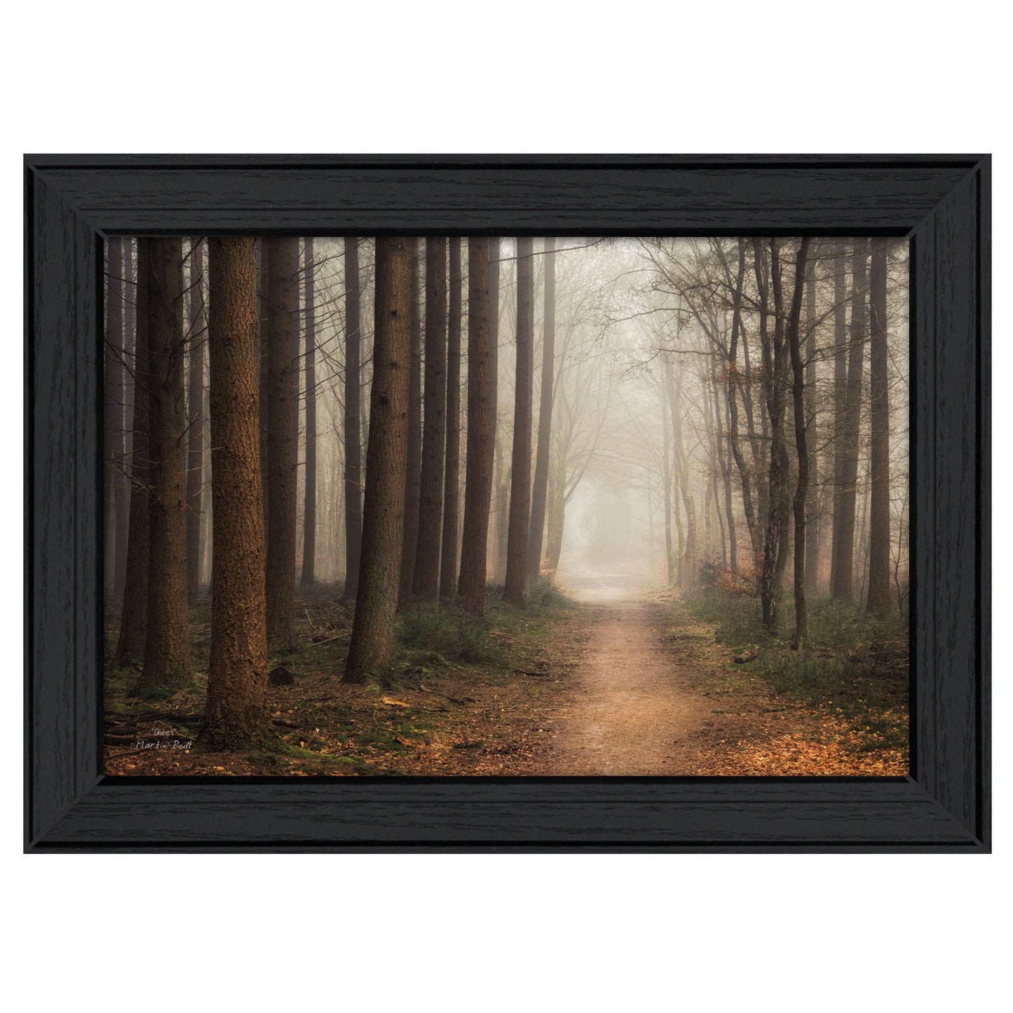 Quiet Black Framed Print Wall Art