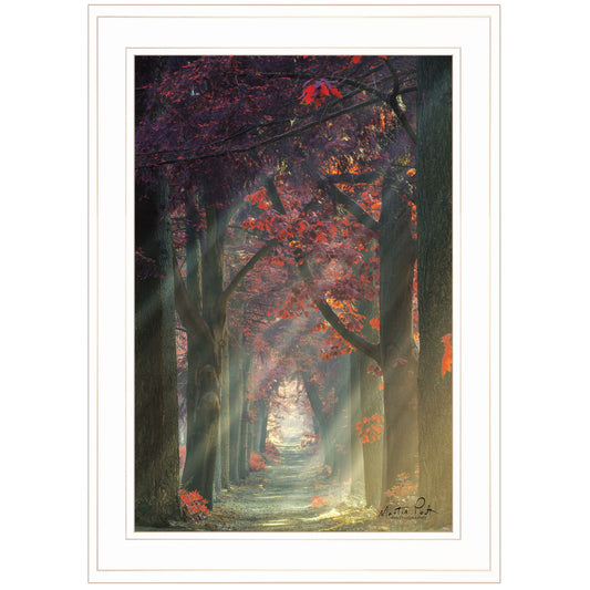 Path of Happiness 1 White Framed Print Wall Art