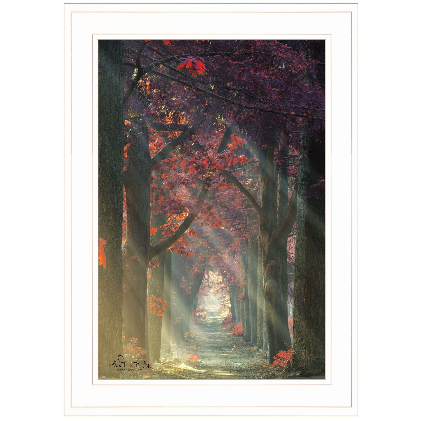 Path of Happiness 1 White Framed Print Wall Art