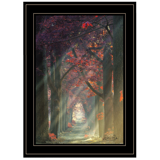 Path Of Happiness 2 Black Framed Print Wall Art