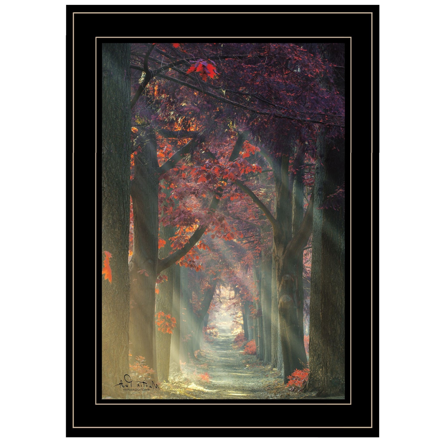 Path of Happiness 2 Black Framed Print Wall Art