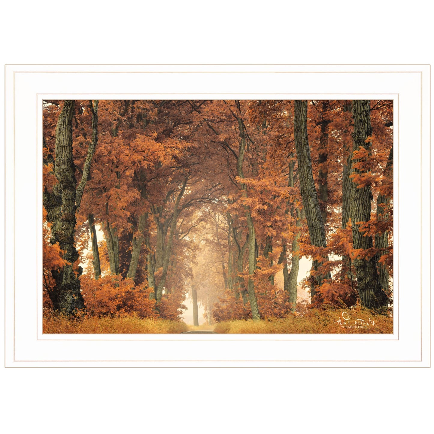 Follow Your Own Way 1 White Framed Print Wall Art