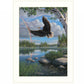 On Eagles Wings 2 White Framed Print Wall Art