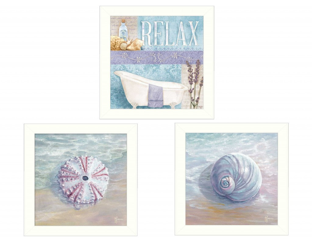 Set Of Three Shells I White Framed Print Wall Art