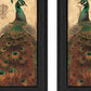 Set Of Two Peacock 2 Black Framed Print Wall Art