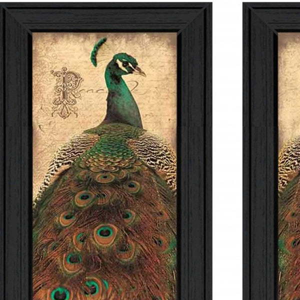 Set Of Two Peacock 2 Black Framed Print Wall Art