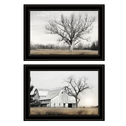 Set Of Two Ohio Fields I 2 Black Framed Print Wall Art