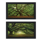 Set Of Two Tree Arbors by Moises Levy Black Frame Black Framed Print Wall Art