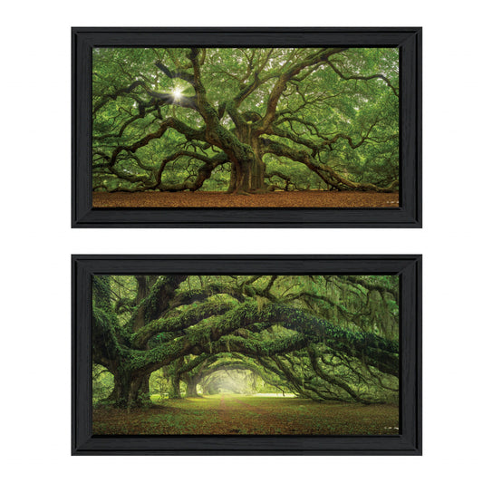 Set Of Two Tree Arbors by Moises Levy Black Frame Black Framed Print Wall Art