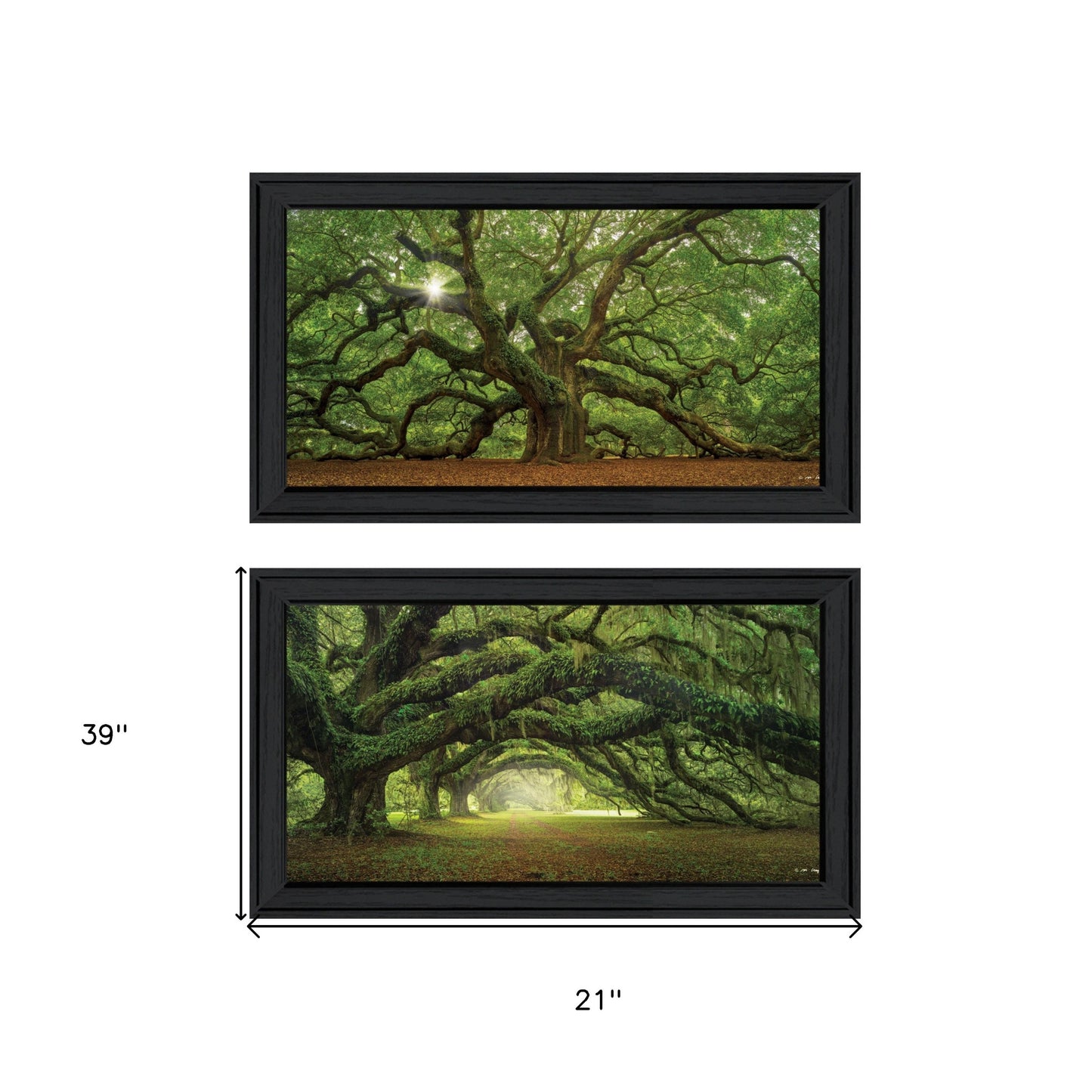 Set Of Two Tree Arbors by Moises Levy Black Frame Black Framed Print Wall Art