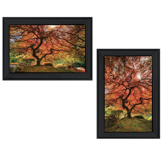 Set Of Two First Colors of Fall II Black Framed Print Wall Art