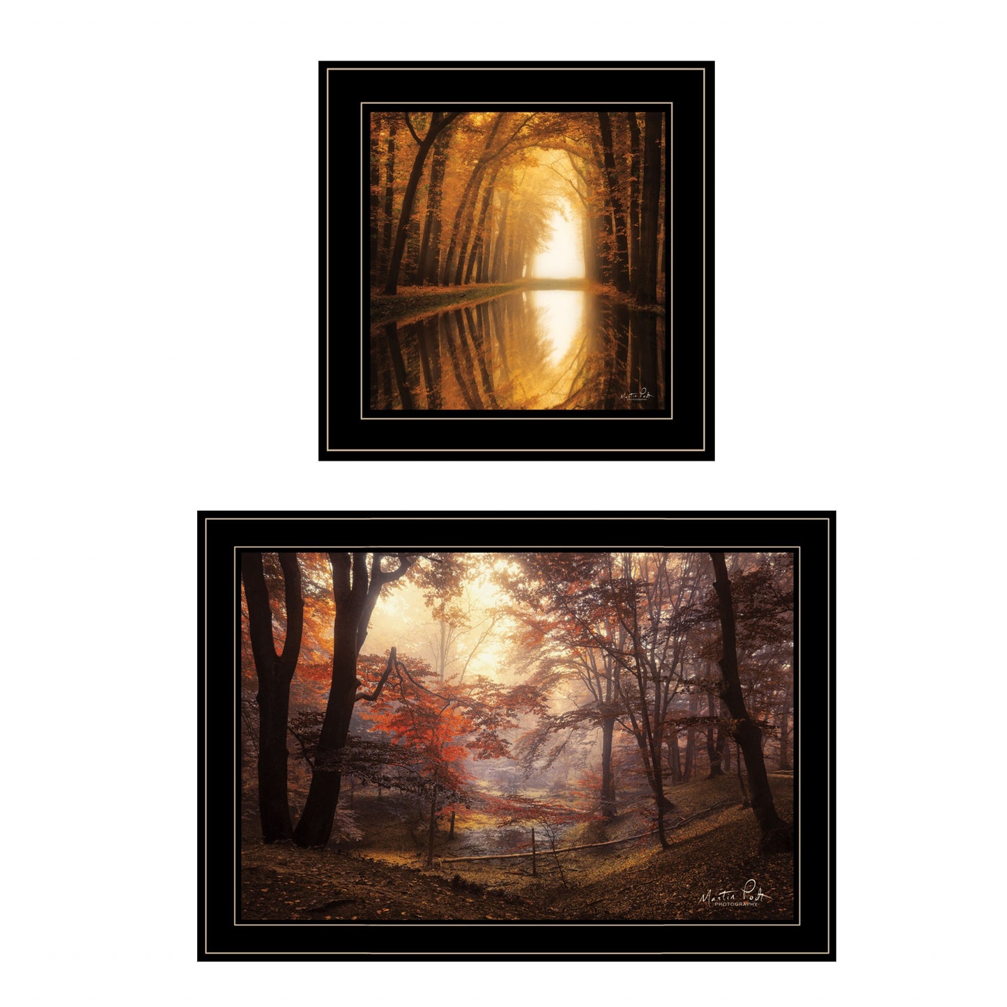 Set Of Two Natures Reflections 2 Black Framed Print Wall Art