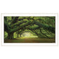 Passage 2 White Framed Print Wall Art