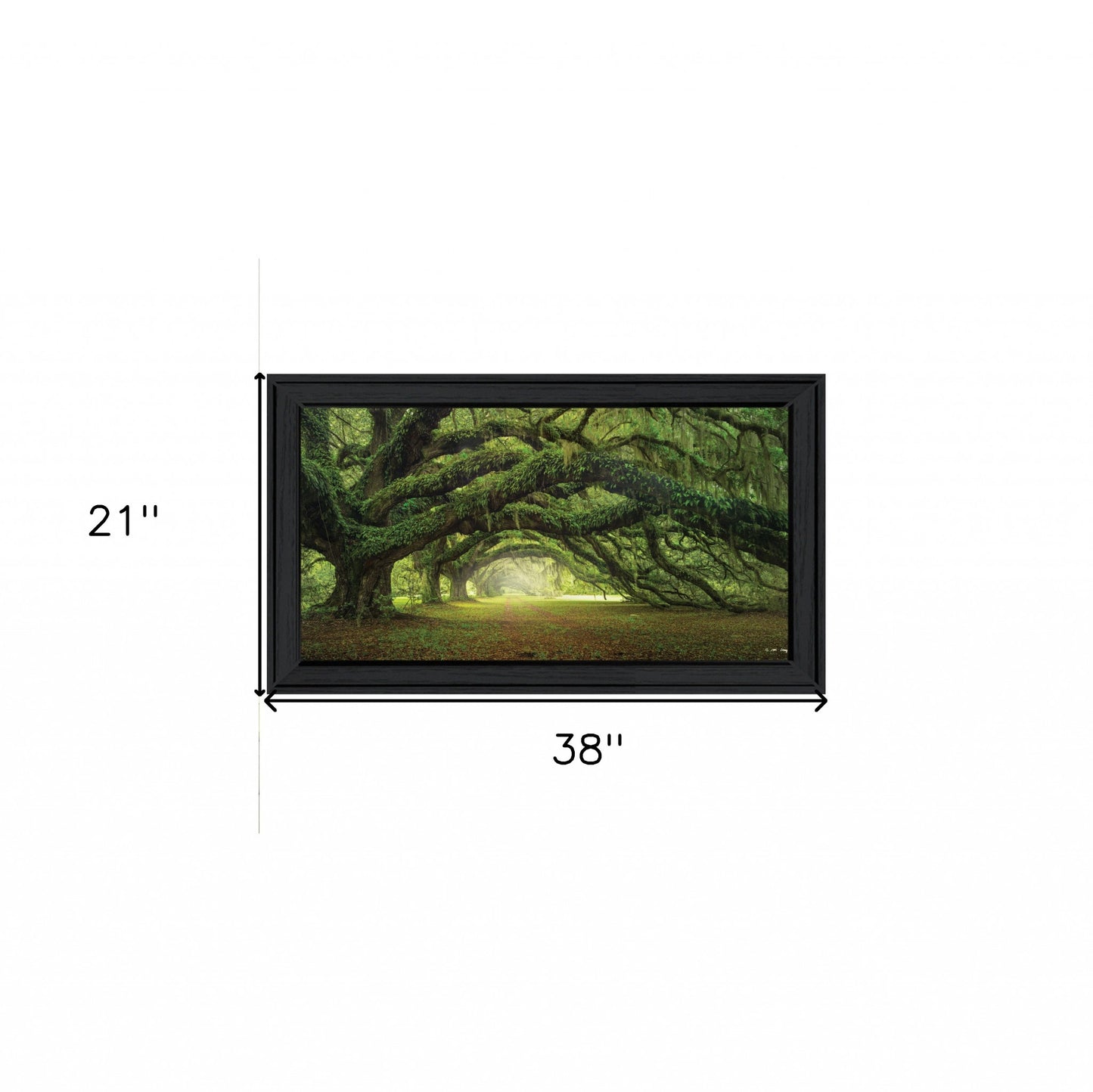 Passage 4 Black Framed Print Wall Art