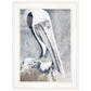 Pelican 1 White Framed Print Kitchen Wall Art