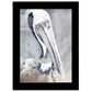 Pelican 3 Black Framed Print Wall Art