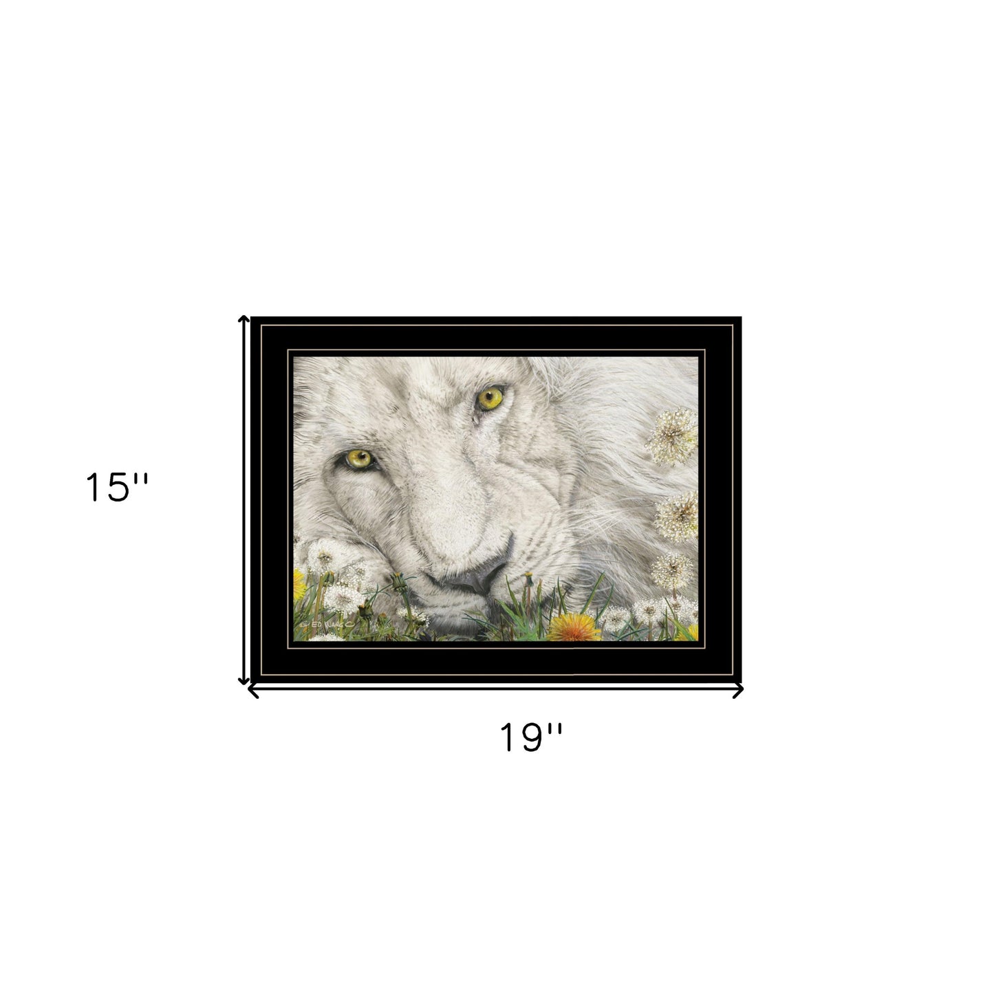 Dandy Lion 3 Black Framed Print Wall Art