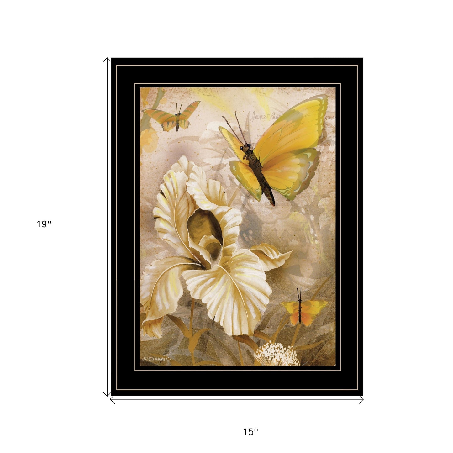 Flowers & Butterflies I 3 Black Framed Print Wall Art