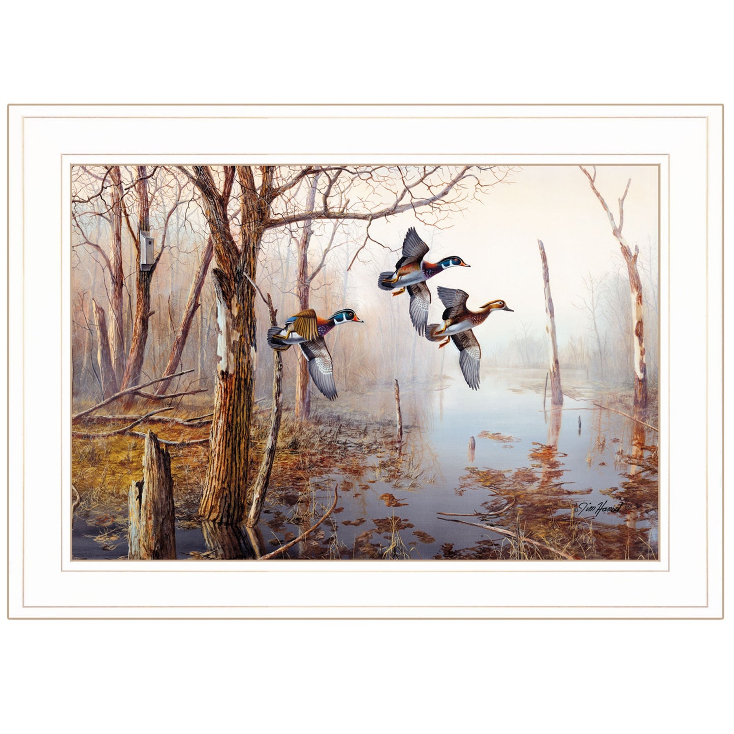 Master Of His Domain Collection 1 White Framed Print Wall Art