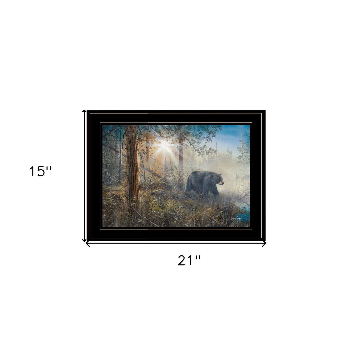 Shadow in the Mist Collection 2 Black Framed Print Wall Art