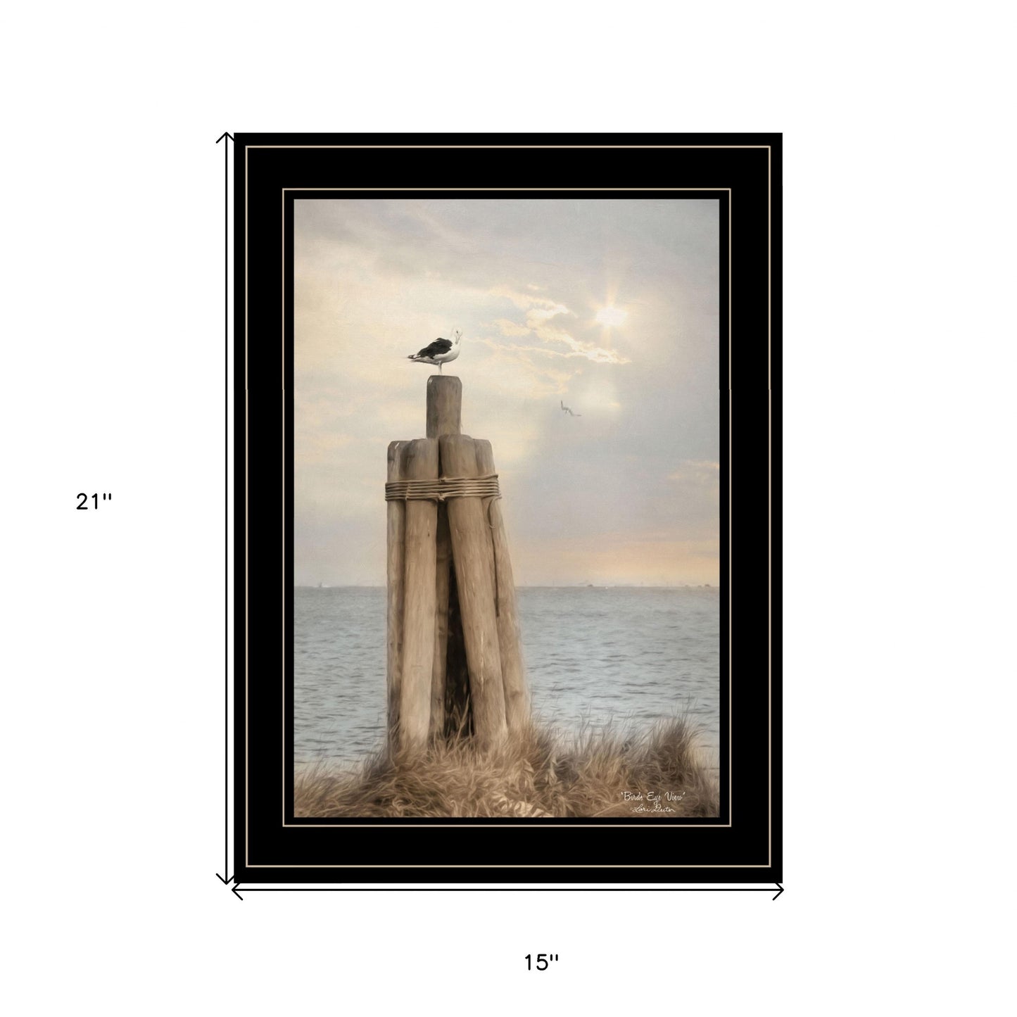 Birds Eye View 3 Black Framed Print Wall Art