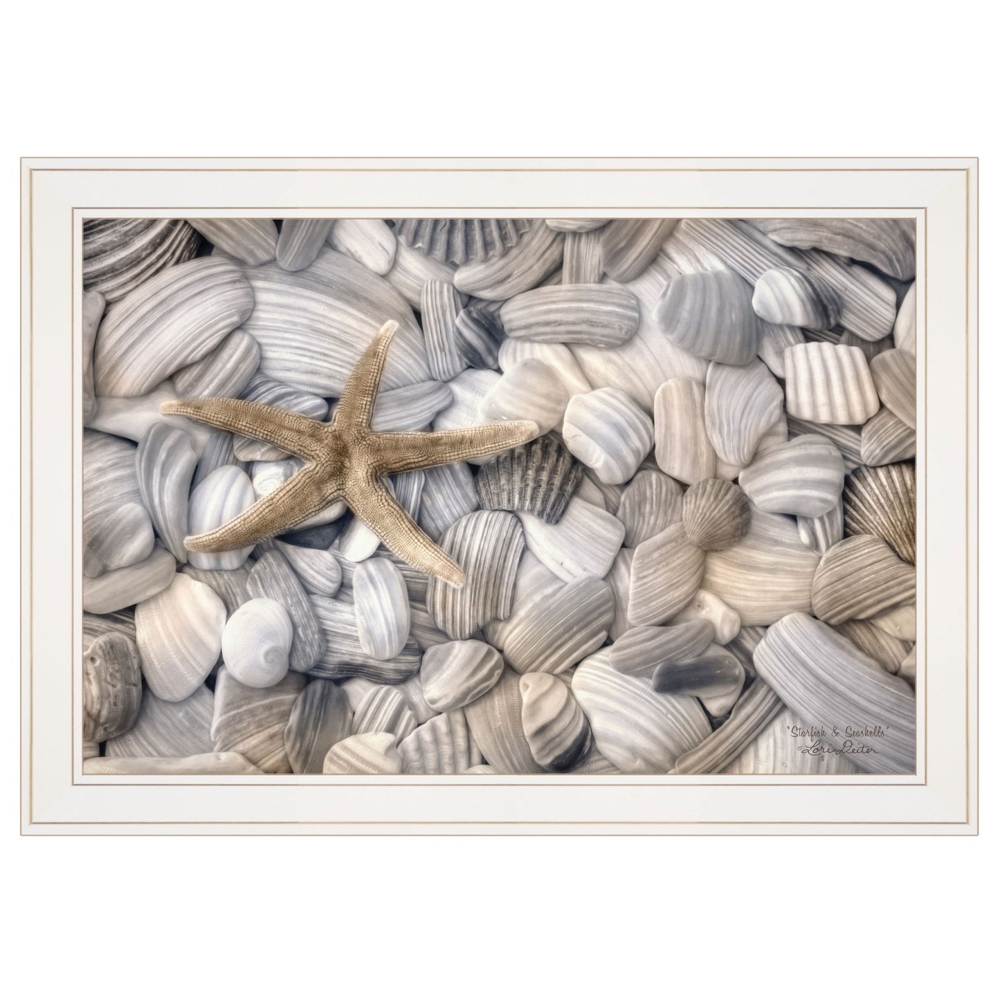 Starfish and Seashells 3 White Framed Print Wall Art