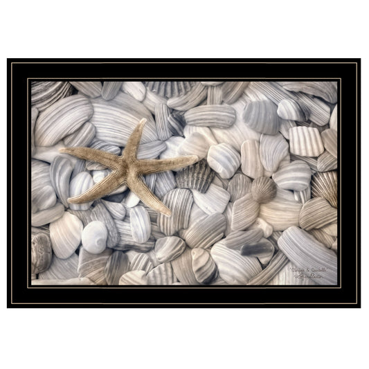 Starfish and Seashells 4 Black Framed Print Wall Art