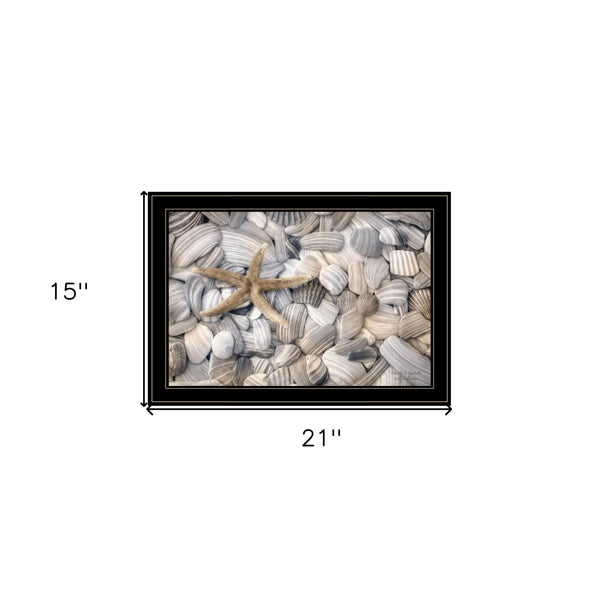 Starfish & Seashells 4 Black Framed Print Wall Art