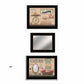 Set Of Three Country Bath III 1 Black Framed Print Bathroom Wall Art