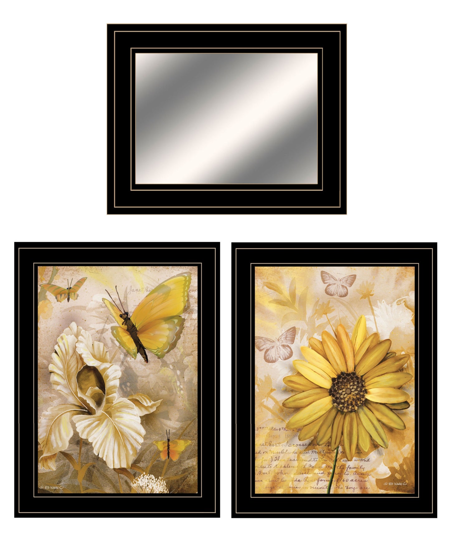 Set Of Three Butterflies 2 Black Framed Print Wall Art