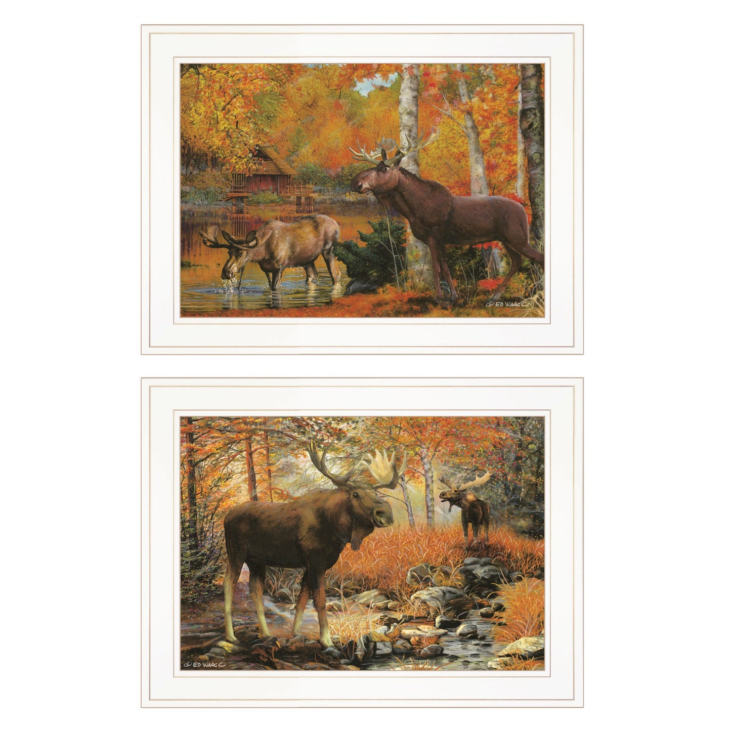 Set Of Two Call of the Wild 1 White Framed Print Wall Art