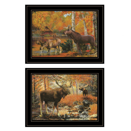 Set Of Two Great Outdoors 4 Black Framed Print Wall Art