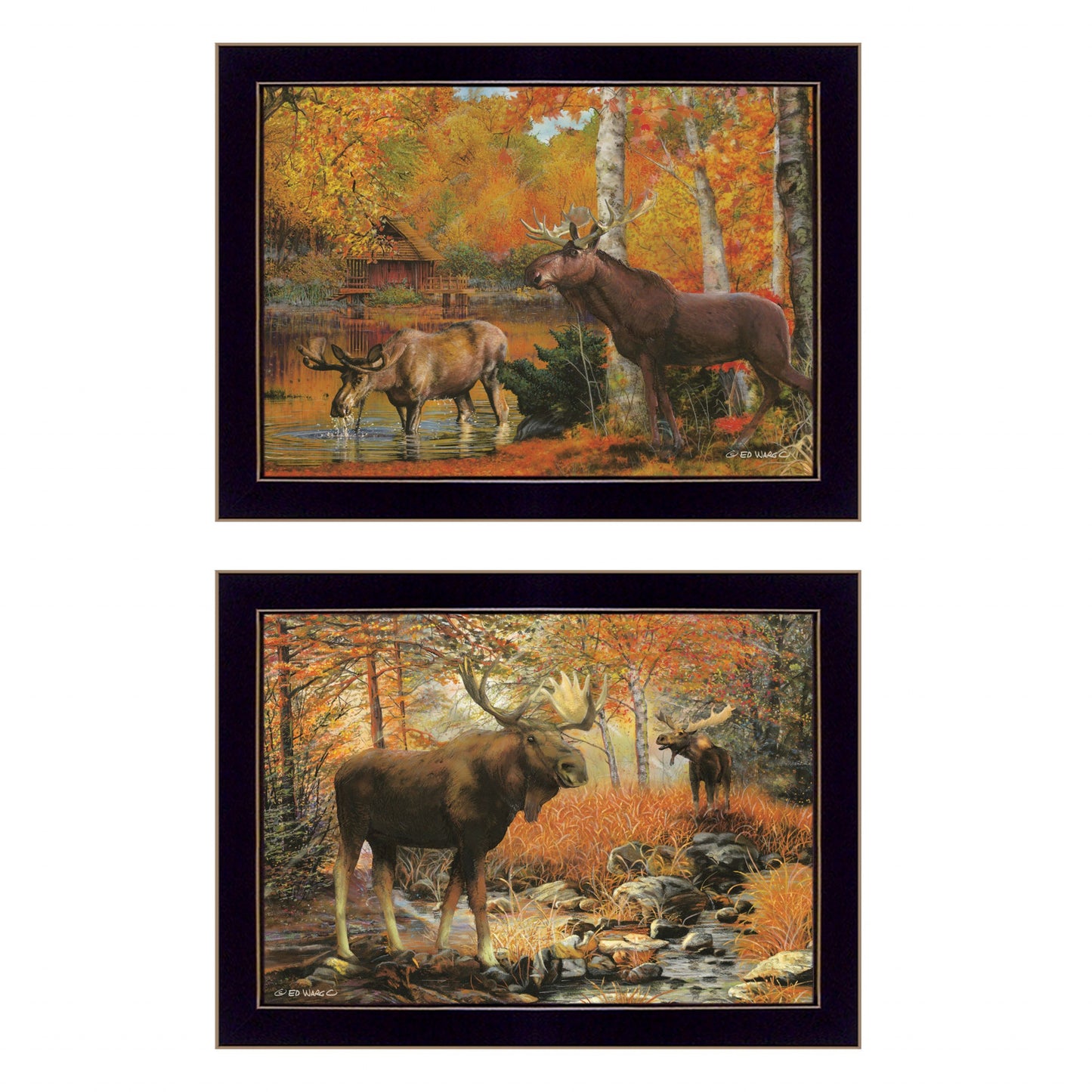 Set Of Two Call of the Wild 2 Black Framed Print Wall Art