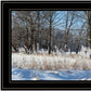 Natures Simple Blessings 2 Black Framed Print Wall Art