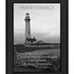 Perseverance Grayscale 1 Black Framed Print Wall Art