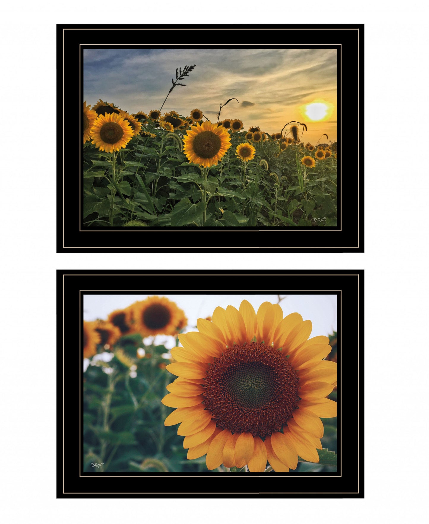 Set Of Two Midwest Living 1 White Framed Print Wall Art