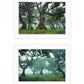 Set Of Two Enchanted Forest 1 White Framed Print Wall Art